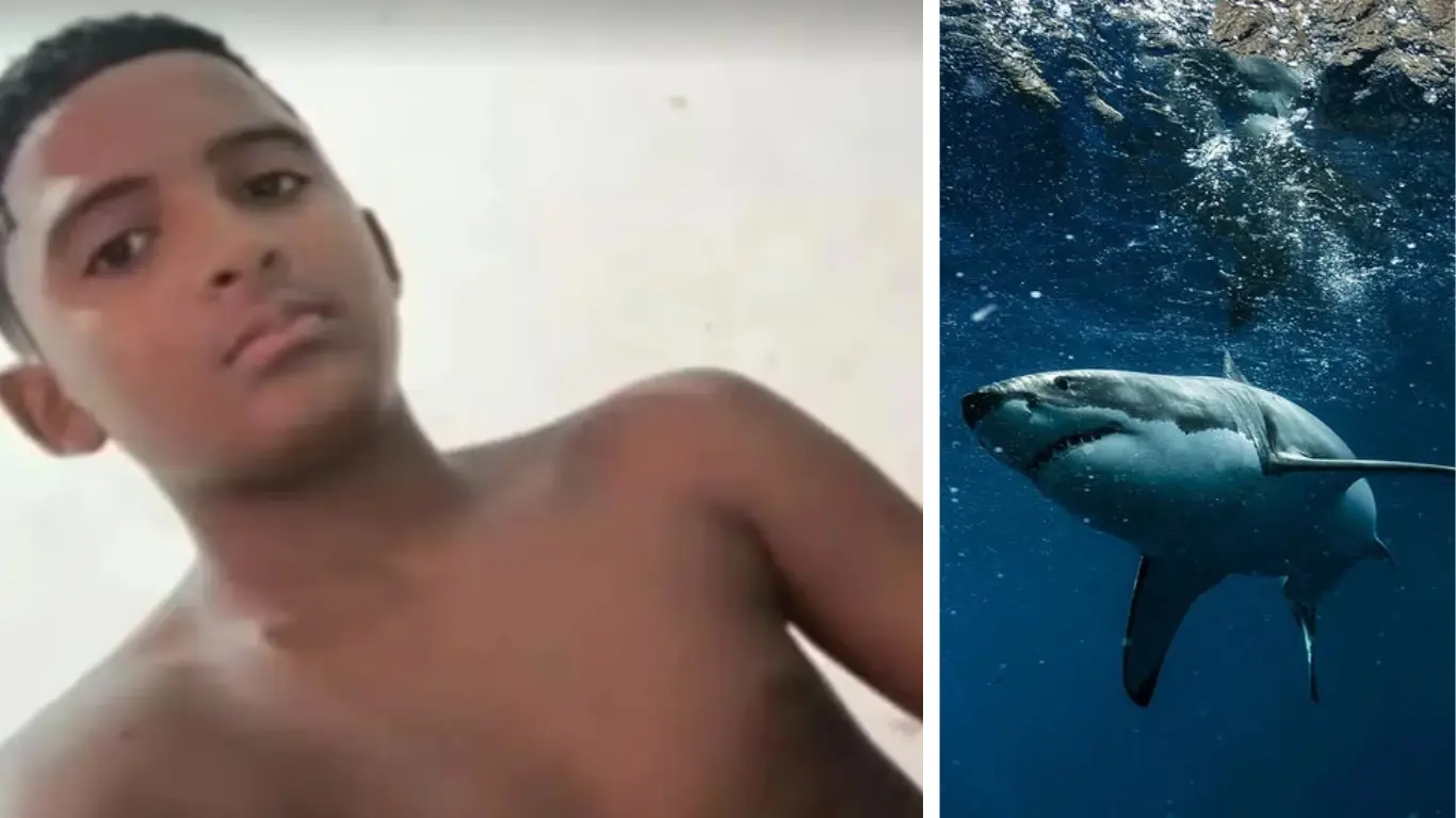 Shark attack on Olinda beach: 13-year-old boy dies