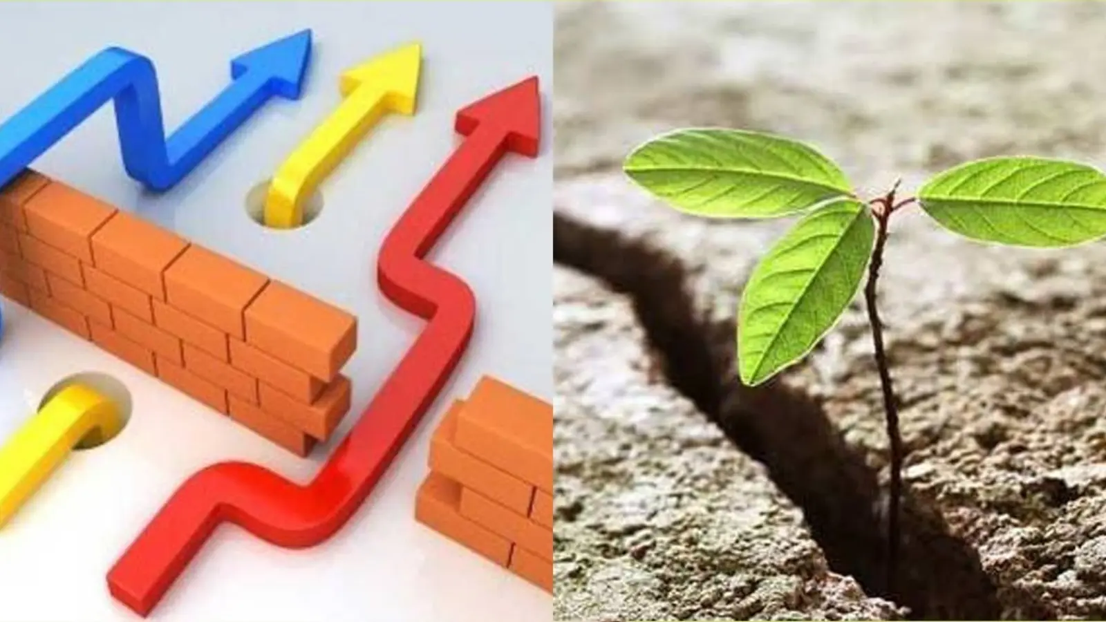 Сәтсіздік жоқ, кедергілерді жеңу уақыты келді