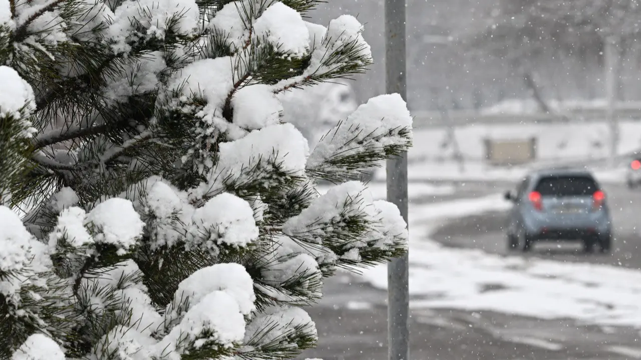 Какая погода будет завтра?