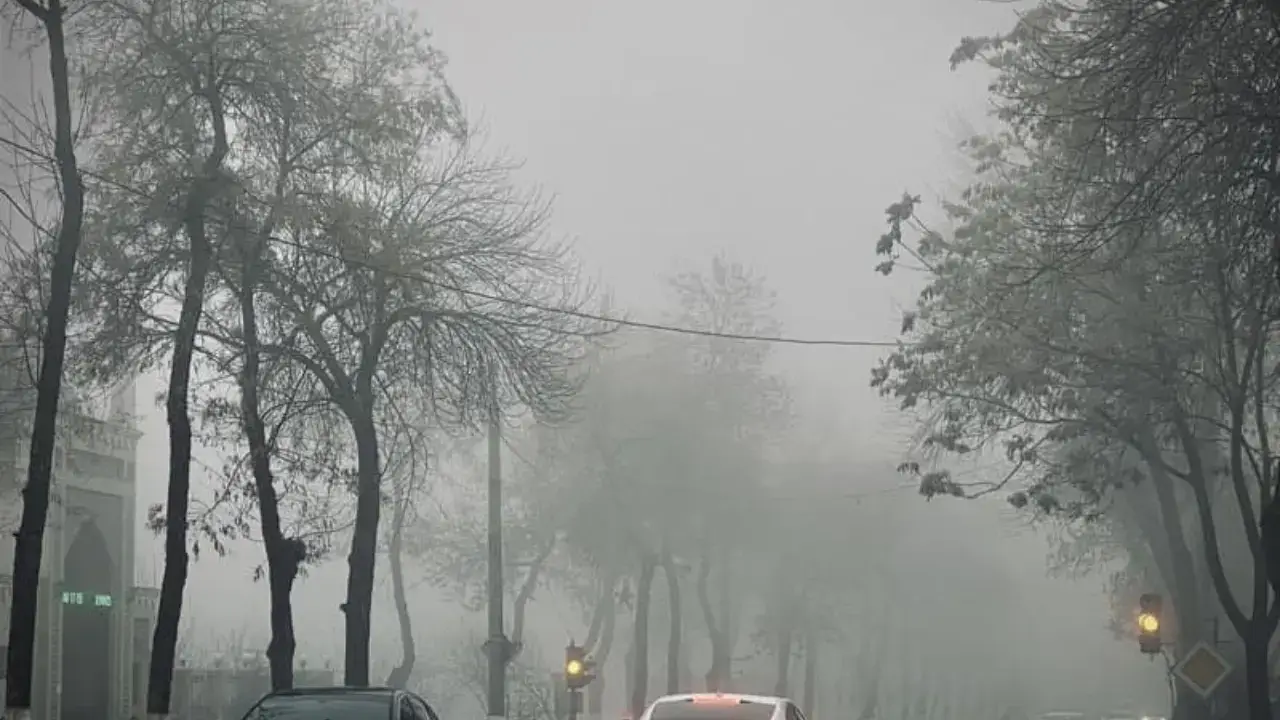 Foggy and dry weather is expected in Uzbekistan