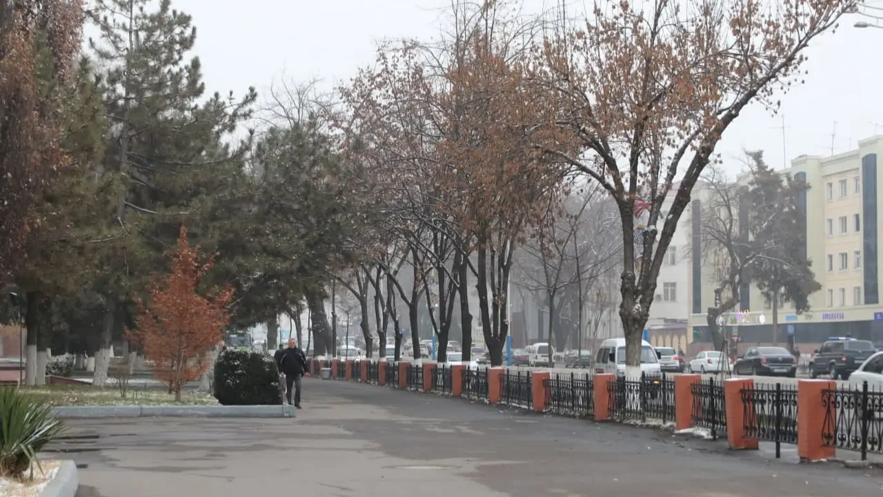 Какая будет температура воздуха в Узбекистане 9 января?