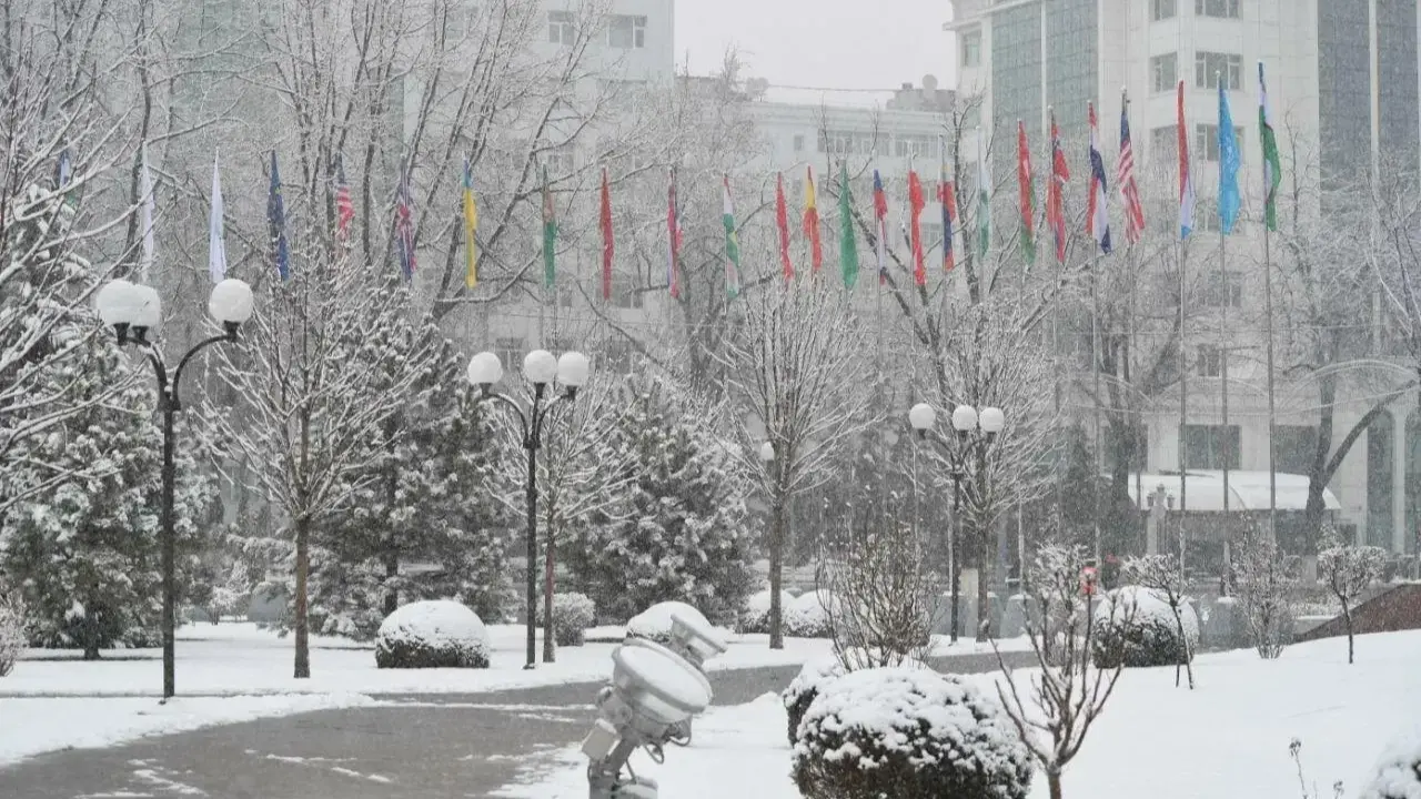 14 январьда жылы ауа райы, содан кейін жаңбыр-қар күтілуде