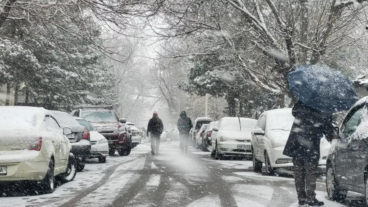 Эртага Ўзбекистонда қандай об-ҳаво кутилмоқда?