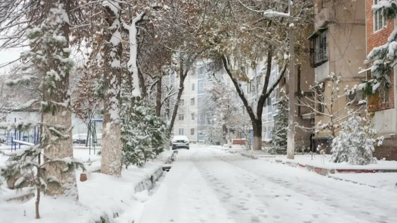 Опубликован прогноз погоды на первые дни нового года