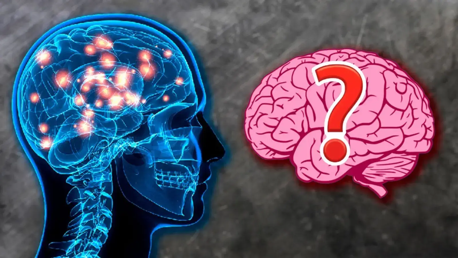 When does the human brain fully develop? Scientists have identified unexpected age limits