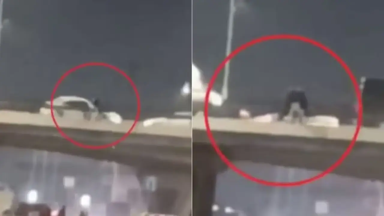 Тошкентда маст фуқаро кўприкдан ўзини ташлашга уринди