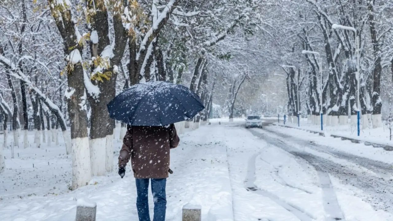 Hafta boshida ob-havo qanday bo‘ladi?