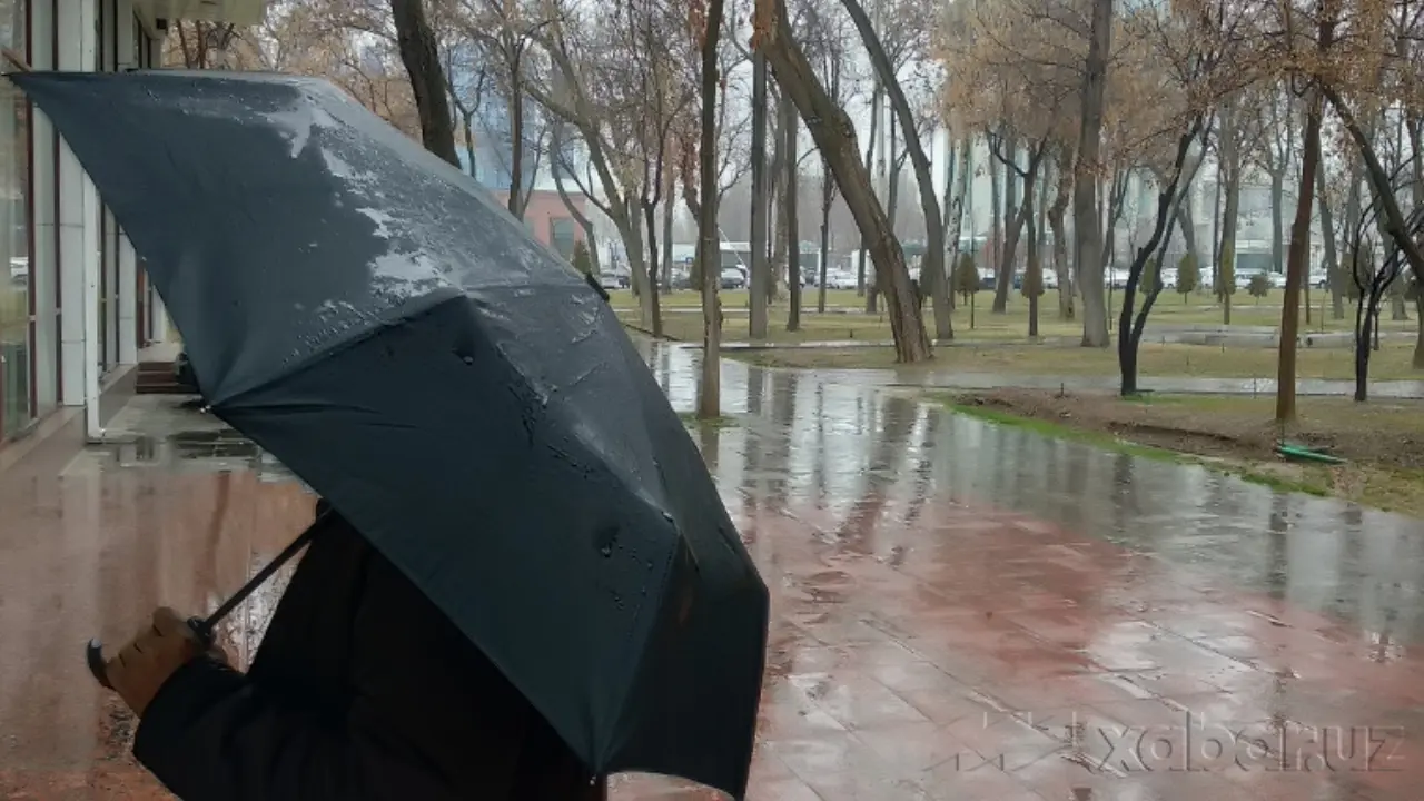 January 17: Rainy and snowy weather expected across Uzbekistan