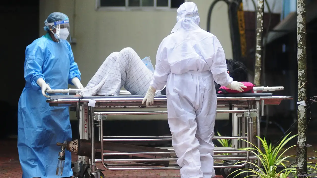 Вирус Нипах в Индии представляет угрозу для Узбекистана?