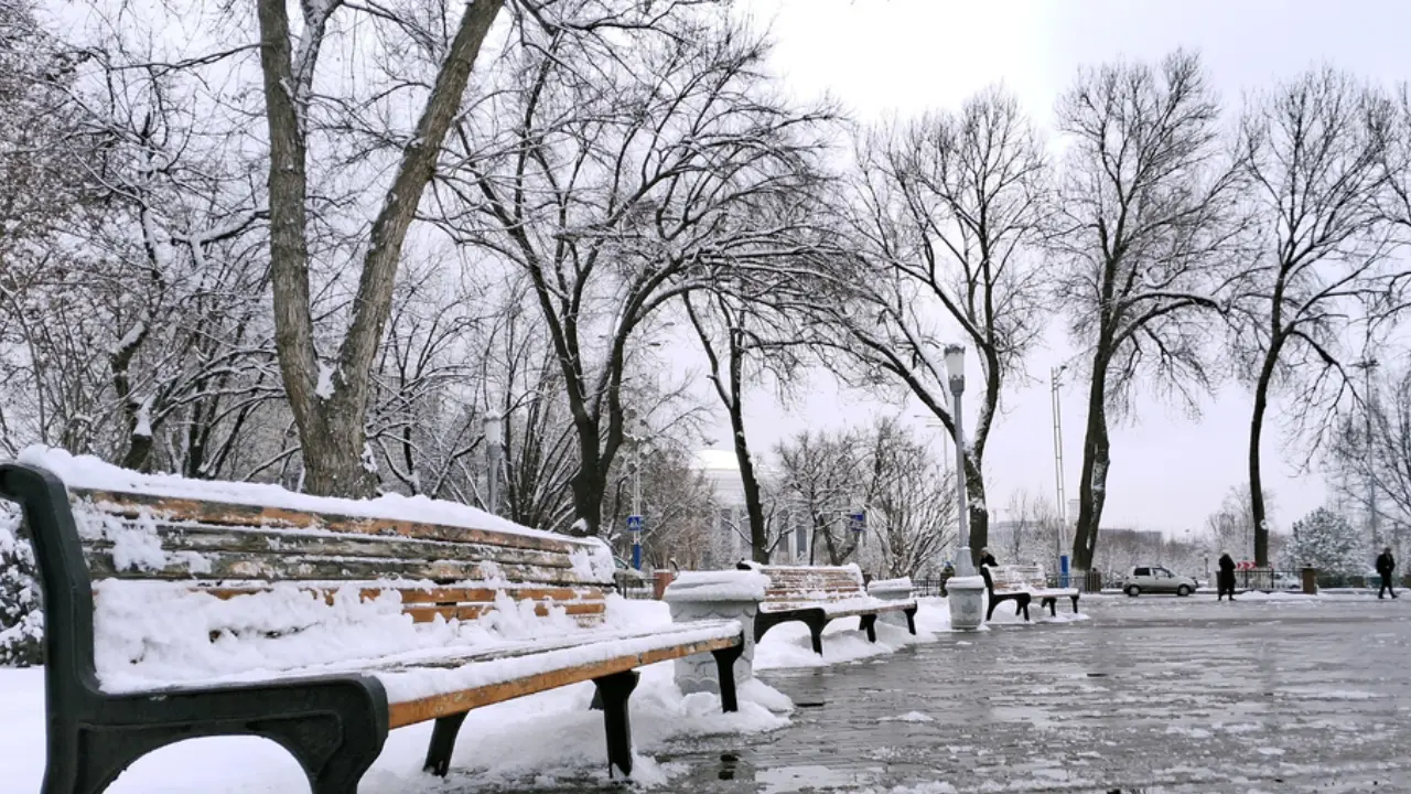 11 январь учун қисқача об-ҳаво прогнози эълон қилинди