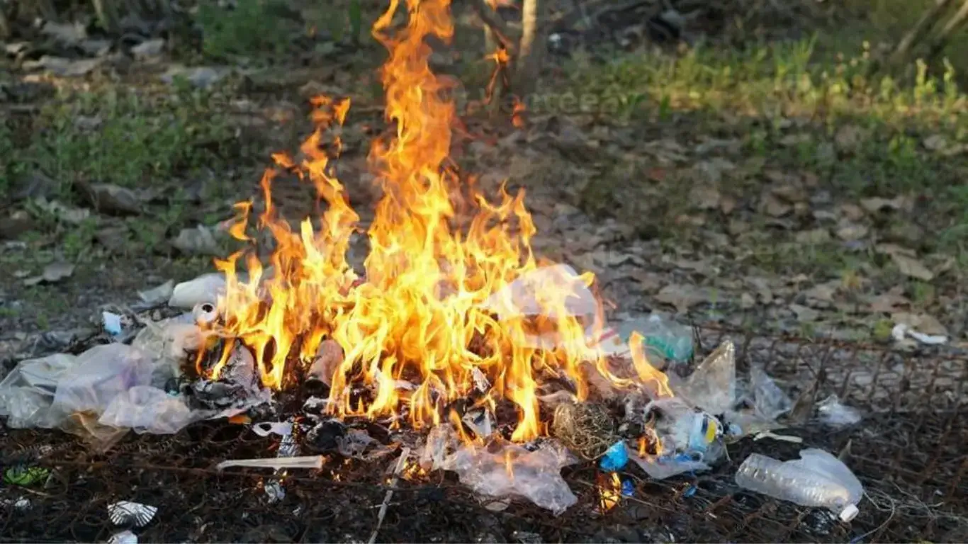 Thousands of Citizens Fined in Tashkent in 2025 for Waste Incidents