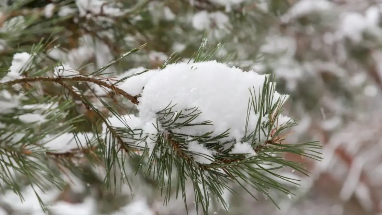 «Өзгидромет» жедел ескерту жариялады