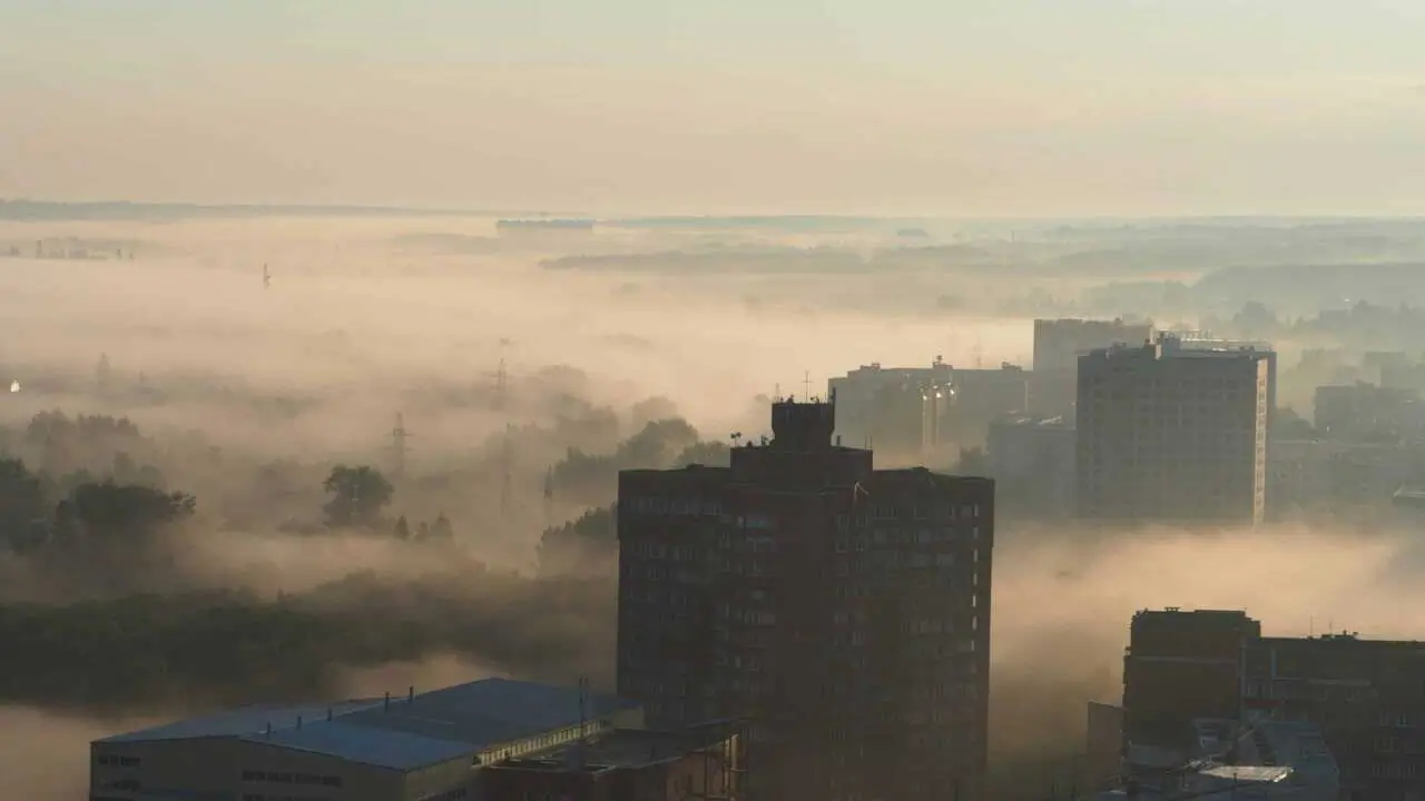 Тошкентда 5 январ куни шамол ва туман кутилмоқда