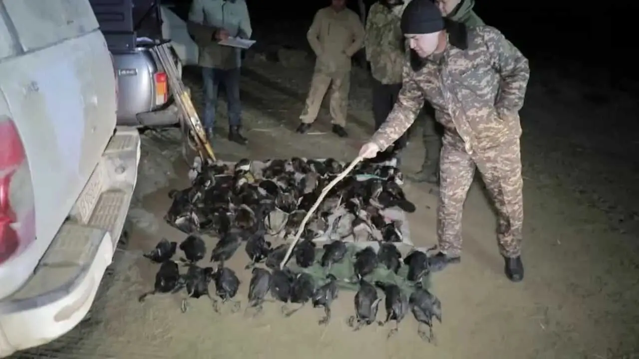 Бухорода браконьерлар табиатга 48 млн сўмлик зарар етказди