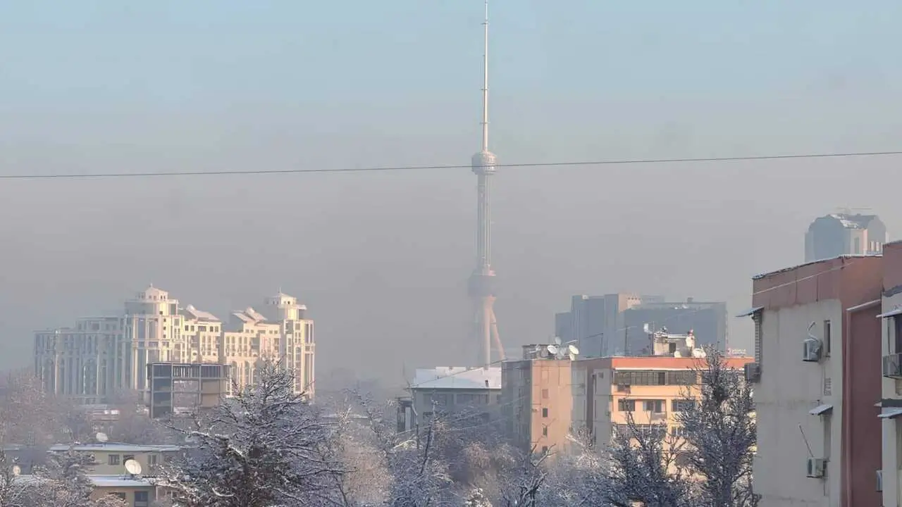 Inflation expectations in Uzbekistan stabilized at around 11.5%