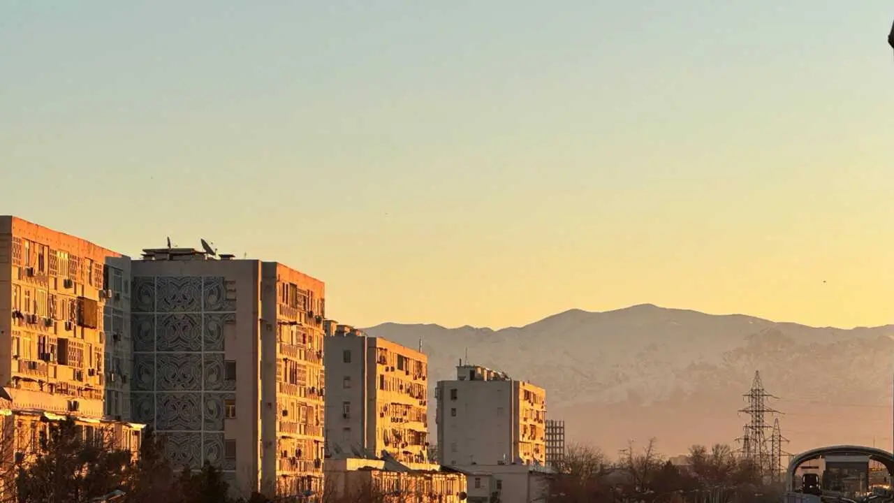 Ташкентке көктемгі жылылық қайта оралуда