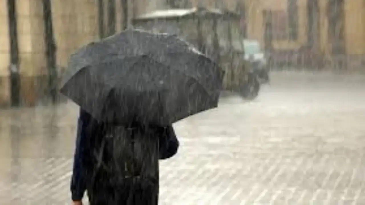 Rain and fog expected in Uzbekistan tomorrow