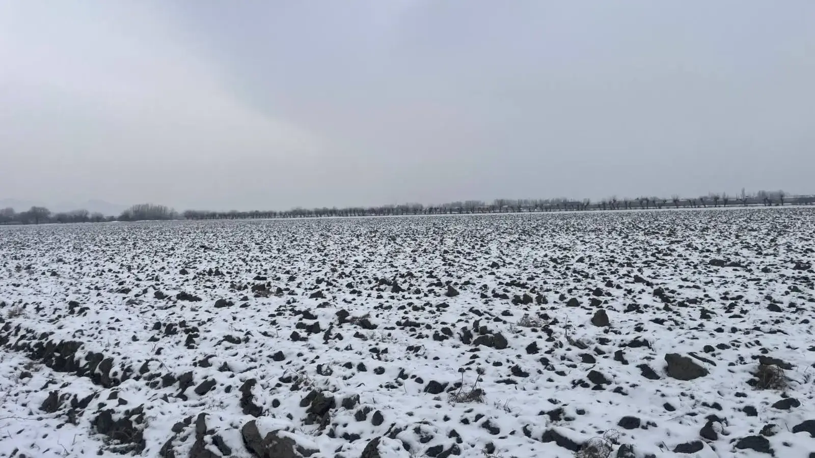 МИБ: Пахтачи туманида қарздорлик сабаб ер майдонлари хатланди