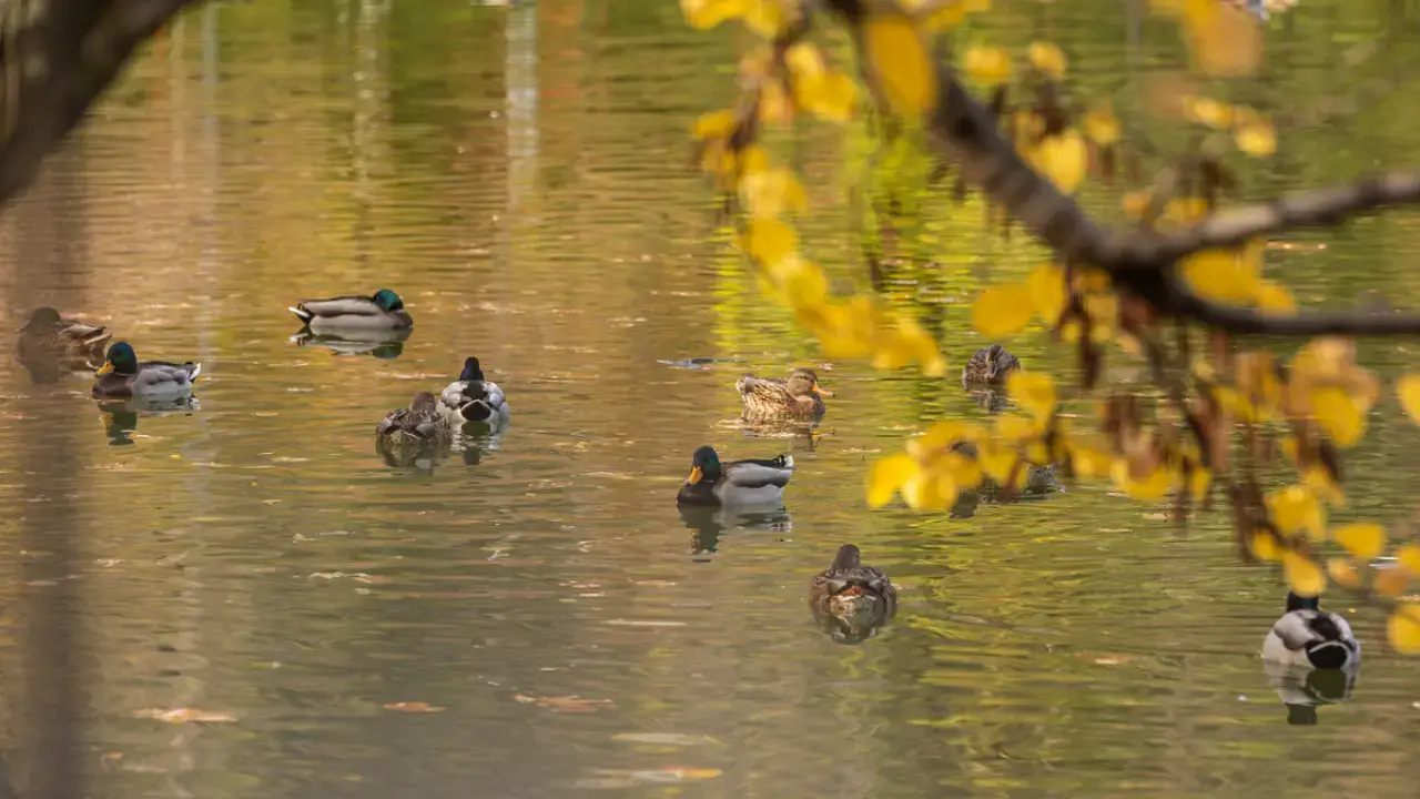 Жылы күндер басталуда, 4 ақпанға арналған ауа райы мәліметтері жарияланды