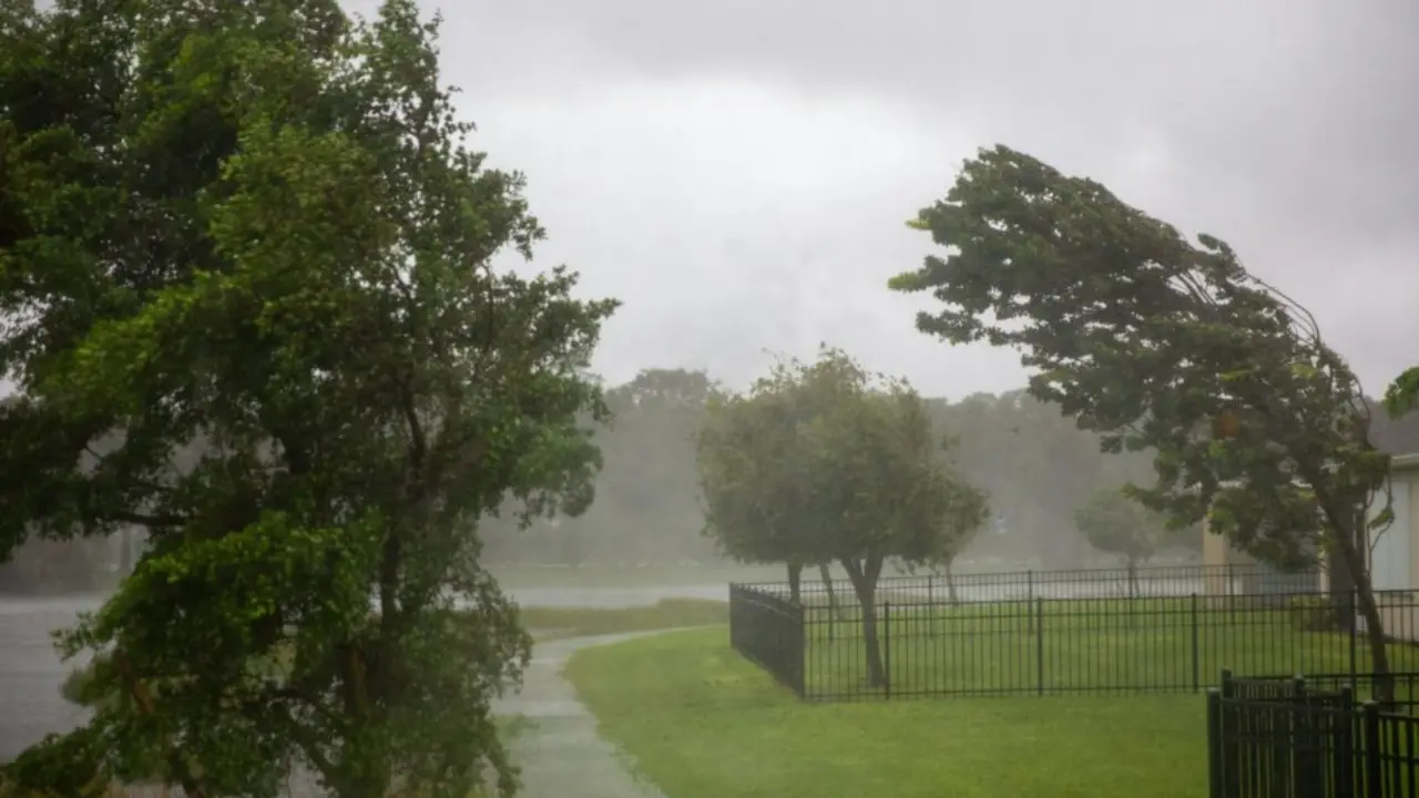 Cooler weather, rain, and wind expected on the weekend