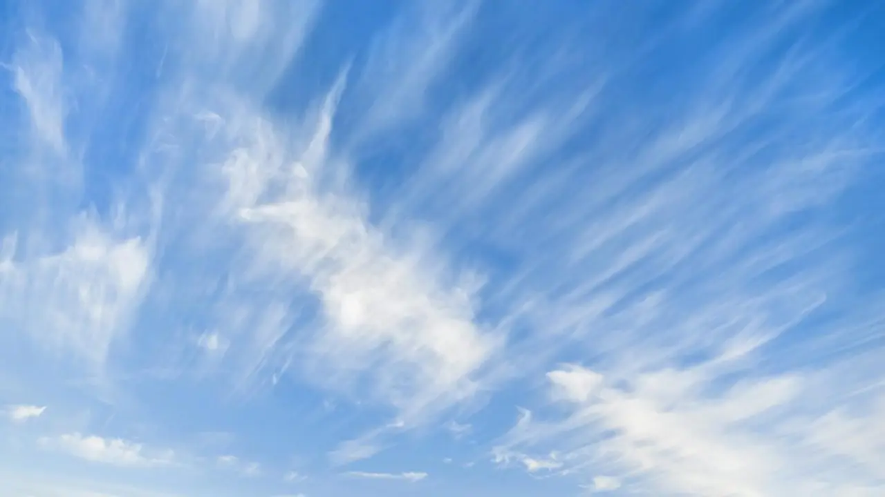 What will the weather be like on February 19?