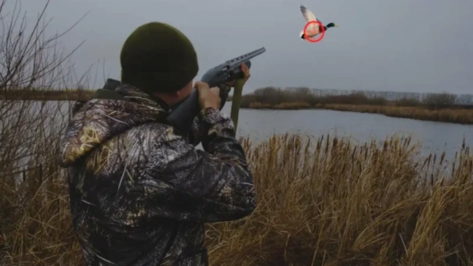 Өзбекстанда 1 марттан бастап аңшылық маусымы ресми түрде жабылады