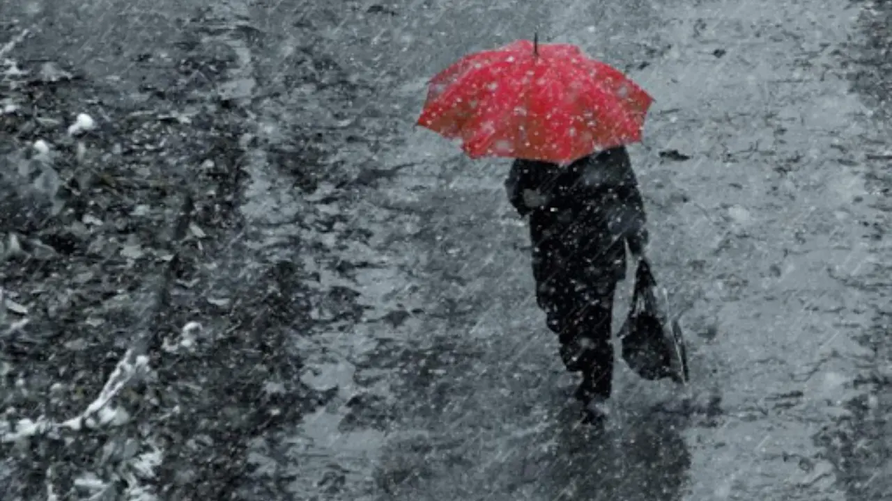 On February 16, the weather will be changeable, and rain is expected in some places