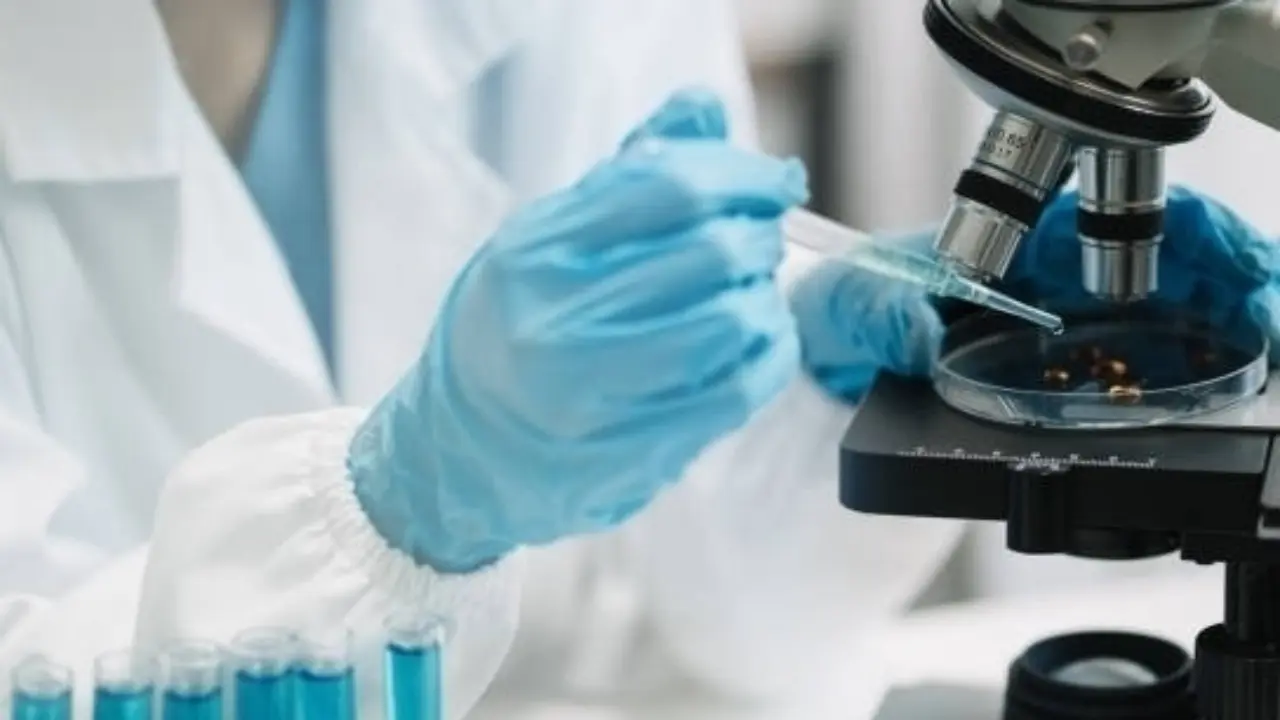 Москва вилоятида ўқувчи тасодифан замбуруғга қарши бактерия топди