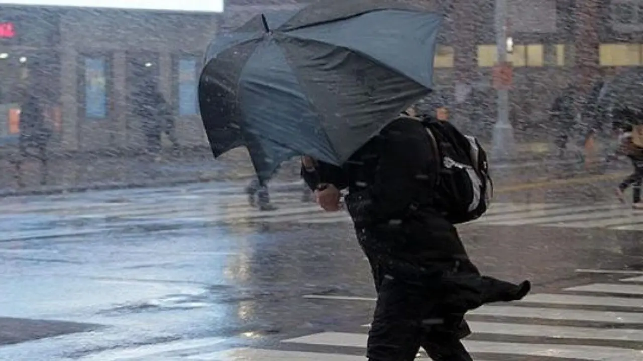 14 fevral, shanba kuni havo qanday bo‘ladi?