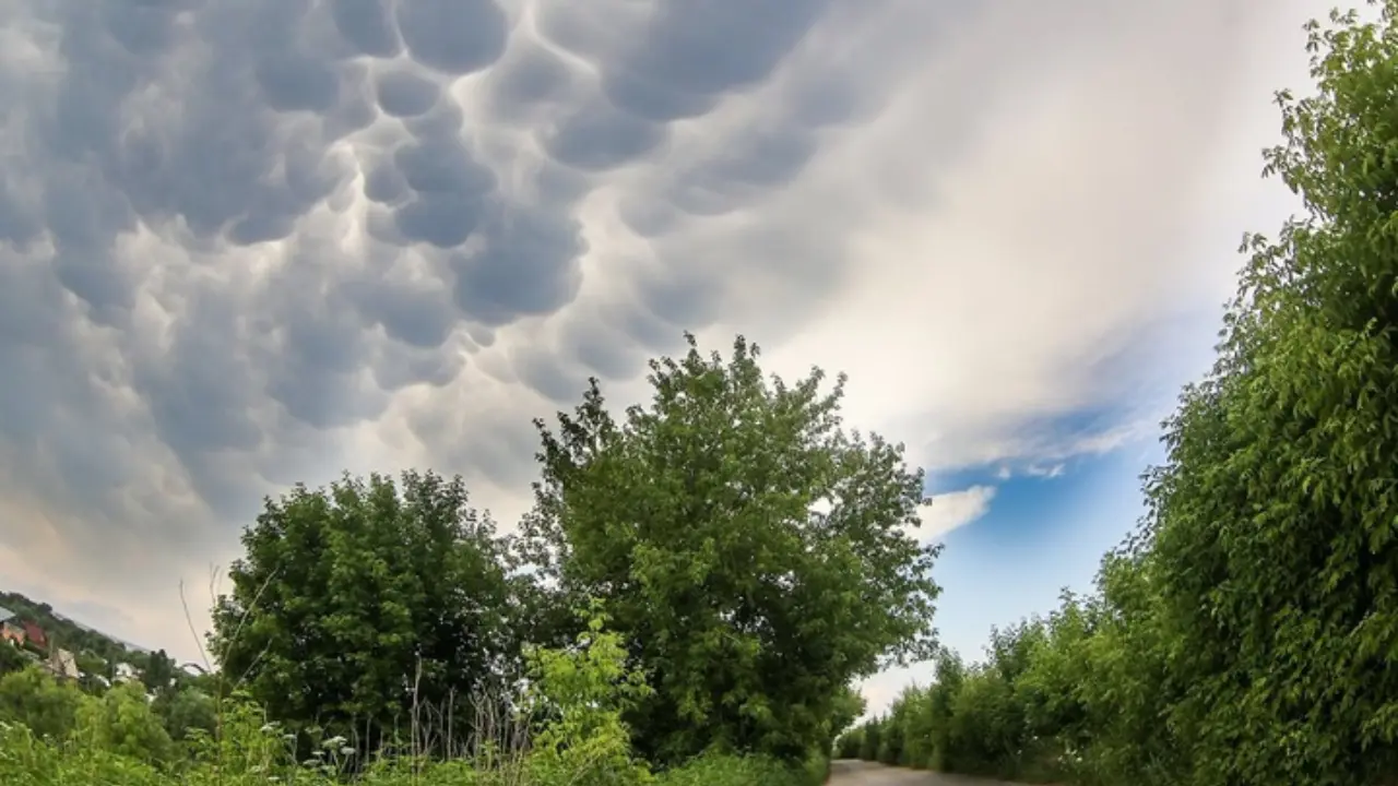Осы аптада көктемгі жылылық келеді, ауа температурасы 25 градусқа дейін жылынады