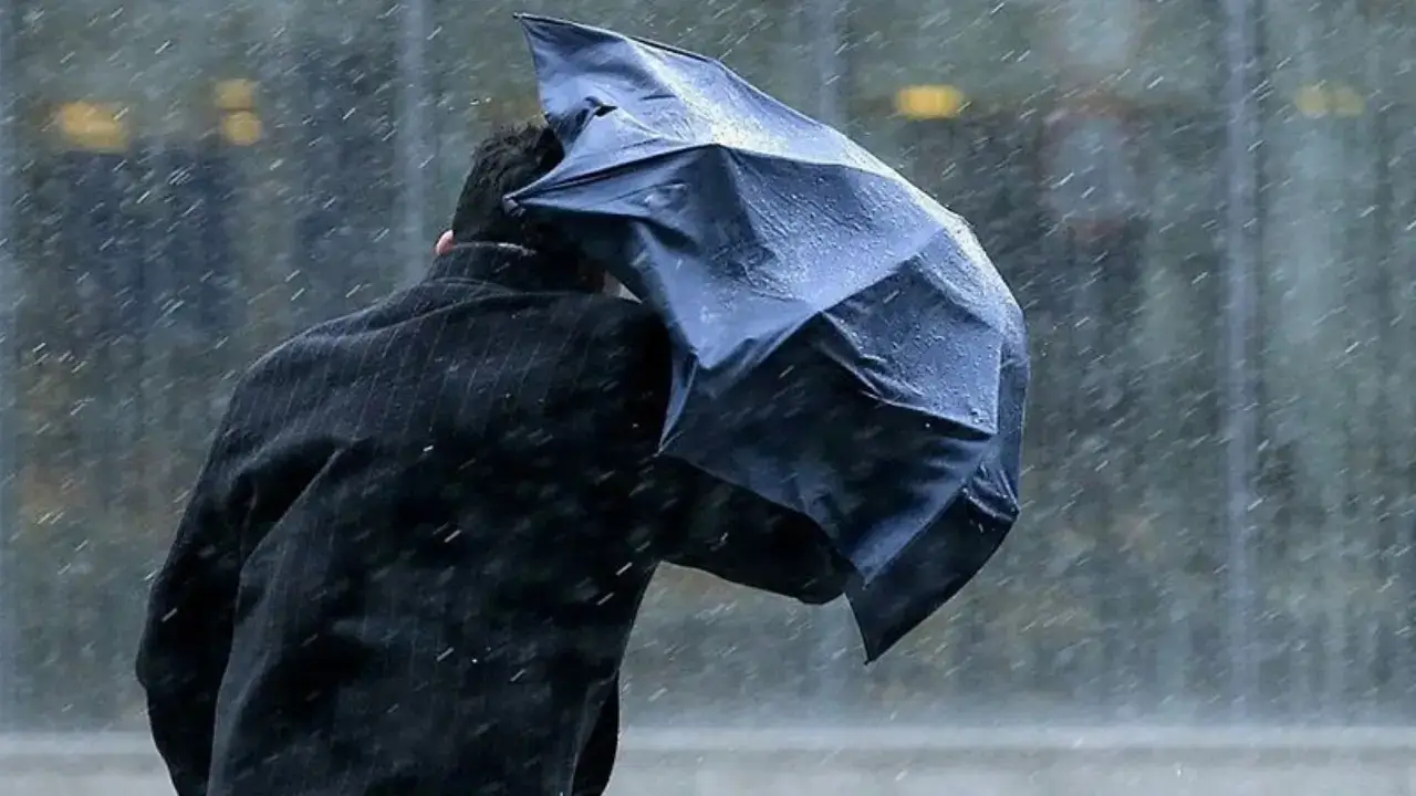 Во второй половине недели похолодает, и дождь может перейти в снег