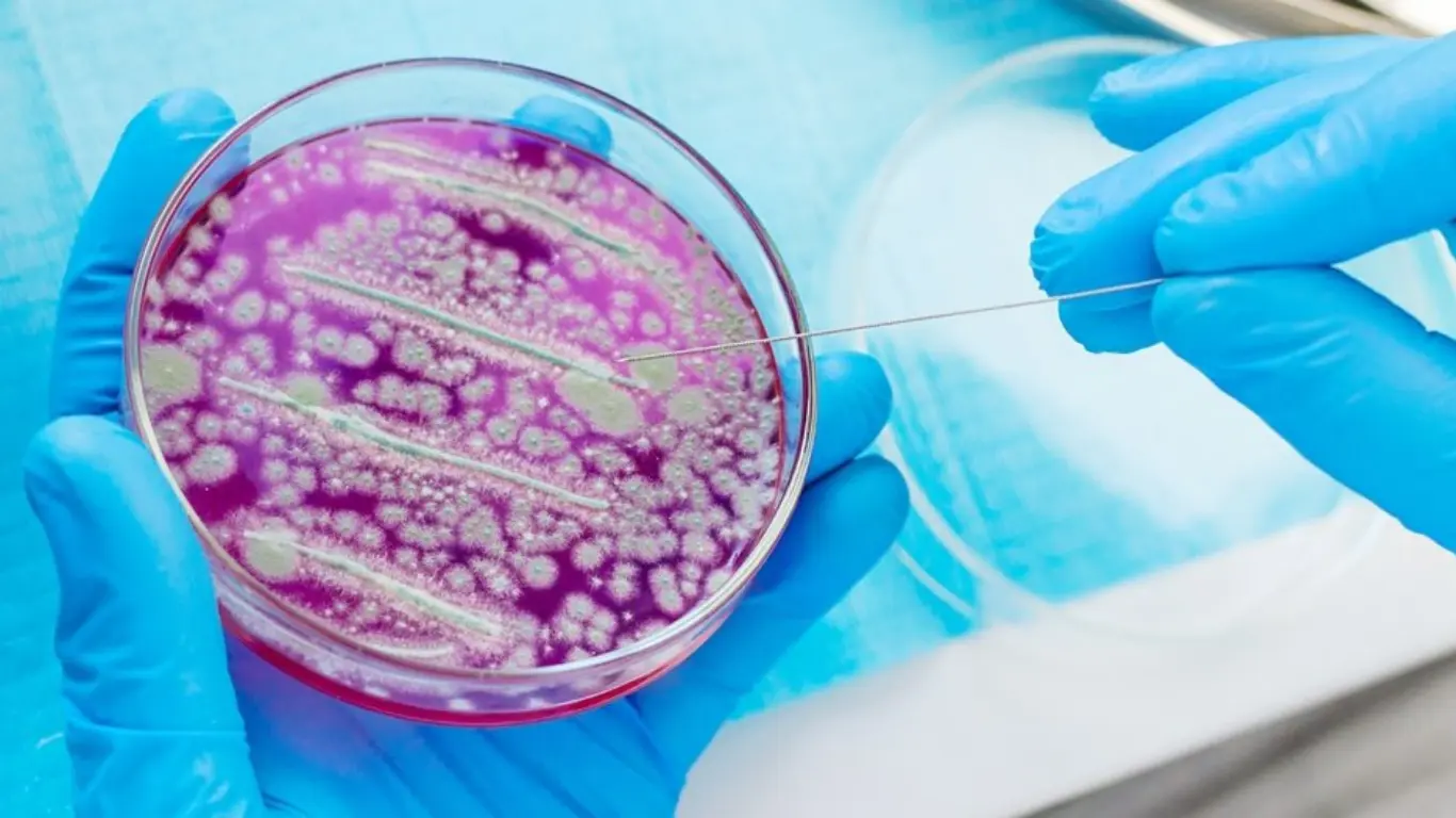 Мактаб ўқувчиси лабораторияда илмий кашфиёт қилди