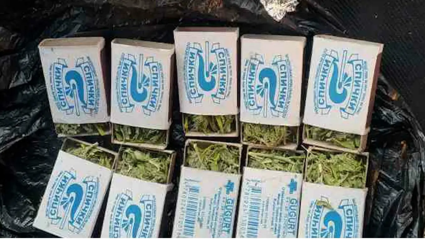 Denovda 57 ta gugurt qutisiga yashirilgan "marixuana" fosh etildi