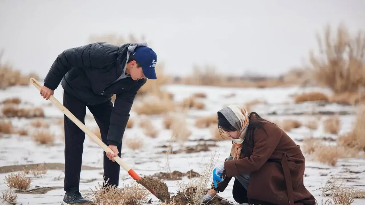 “Яшил Орол денгизи” ташаббуси доирасида саксовул экиш ишлари бошланди