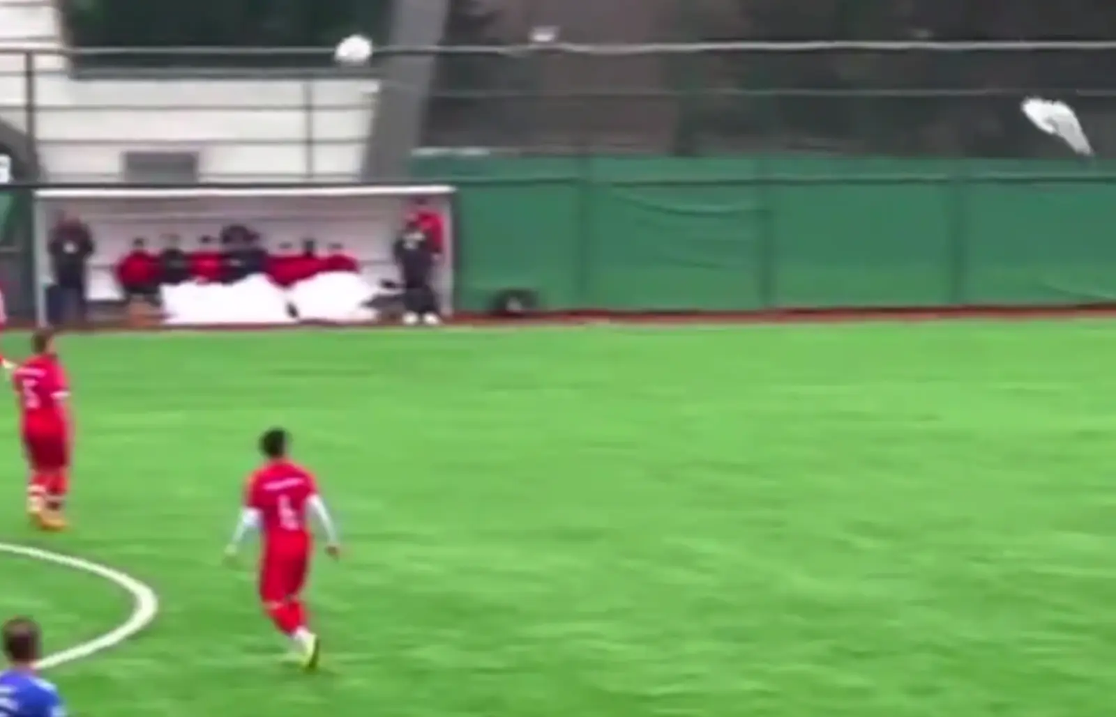 Необычный инцидент в Турции: вратарь сбил чайку (видео)