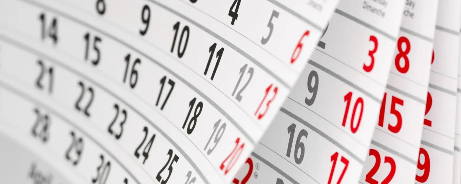 Стало известно, сколько дней отдохнут узбекистанцы в марте