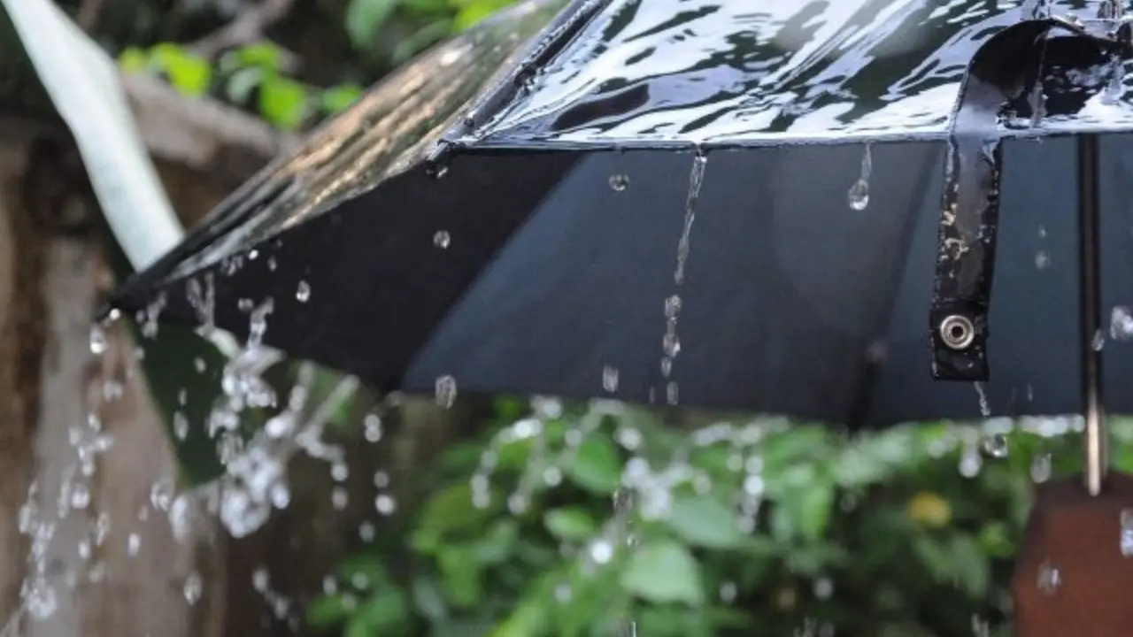 10 феврал куни қайси ҳудудларда ёмғир ёғиши мумкин?