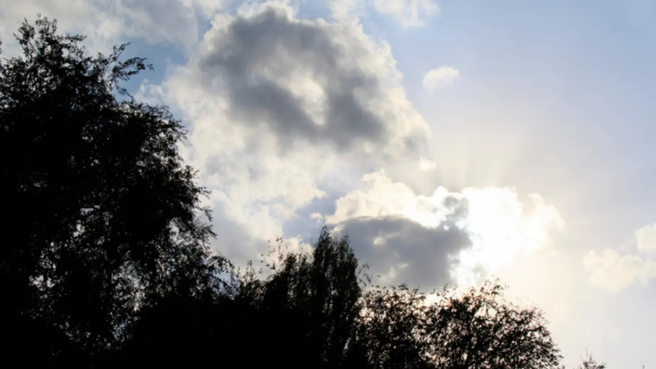 25 fevral kuni havo shiddatli o‘zgaradi