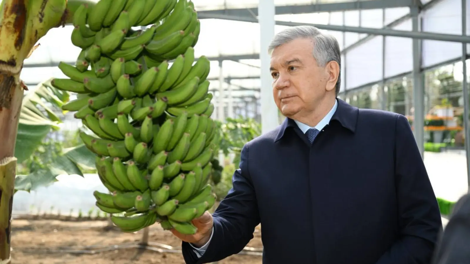 Сурхондарёда томорқа даромади учун янги имкониятлар кенгаймоқда