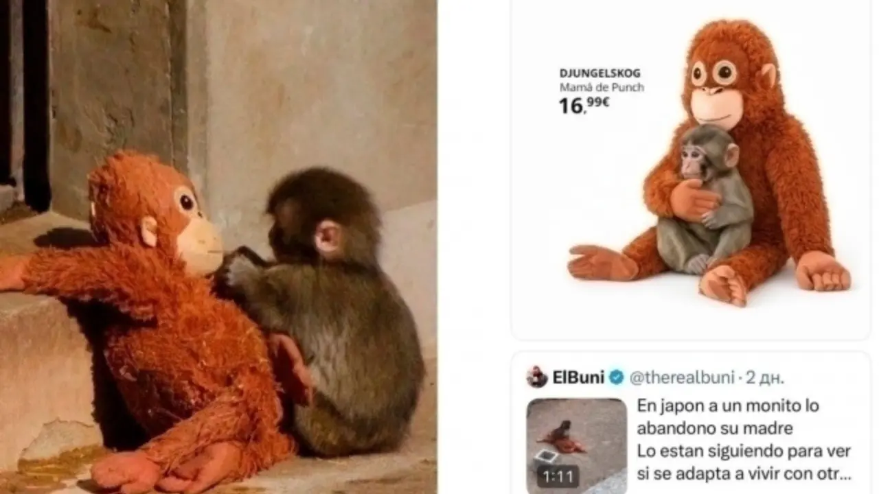 Panchning o‘yinchog‘i internetni portlatdi, IKEA o‘yinchog‘iga talab keskin oshib ketdi