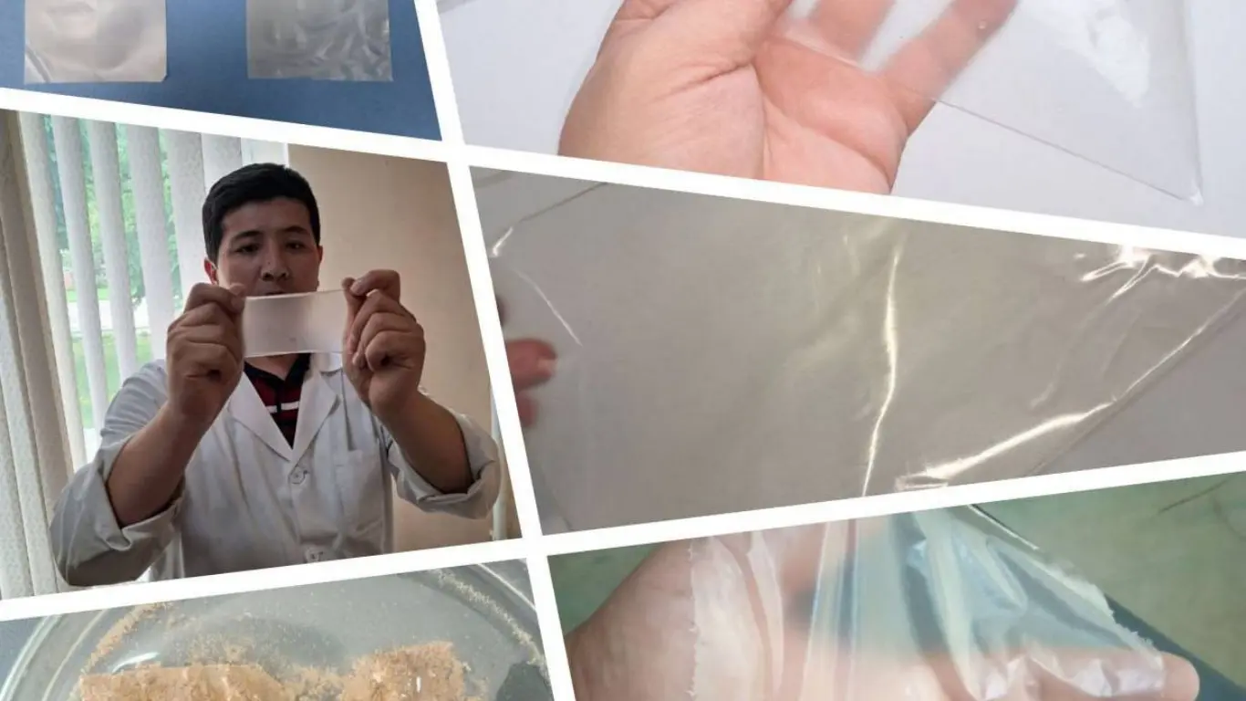 Өзбекстандық ғалымдар экологиялық таза пленка ойлап тапты