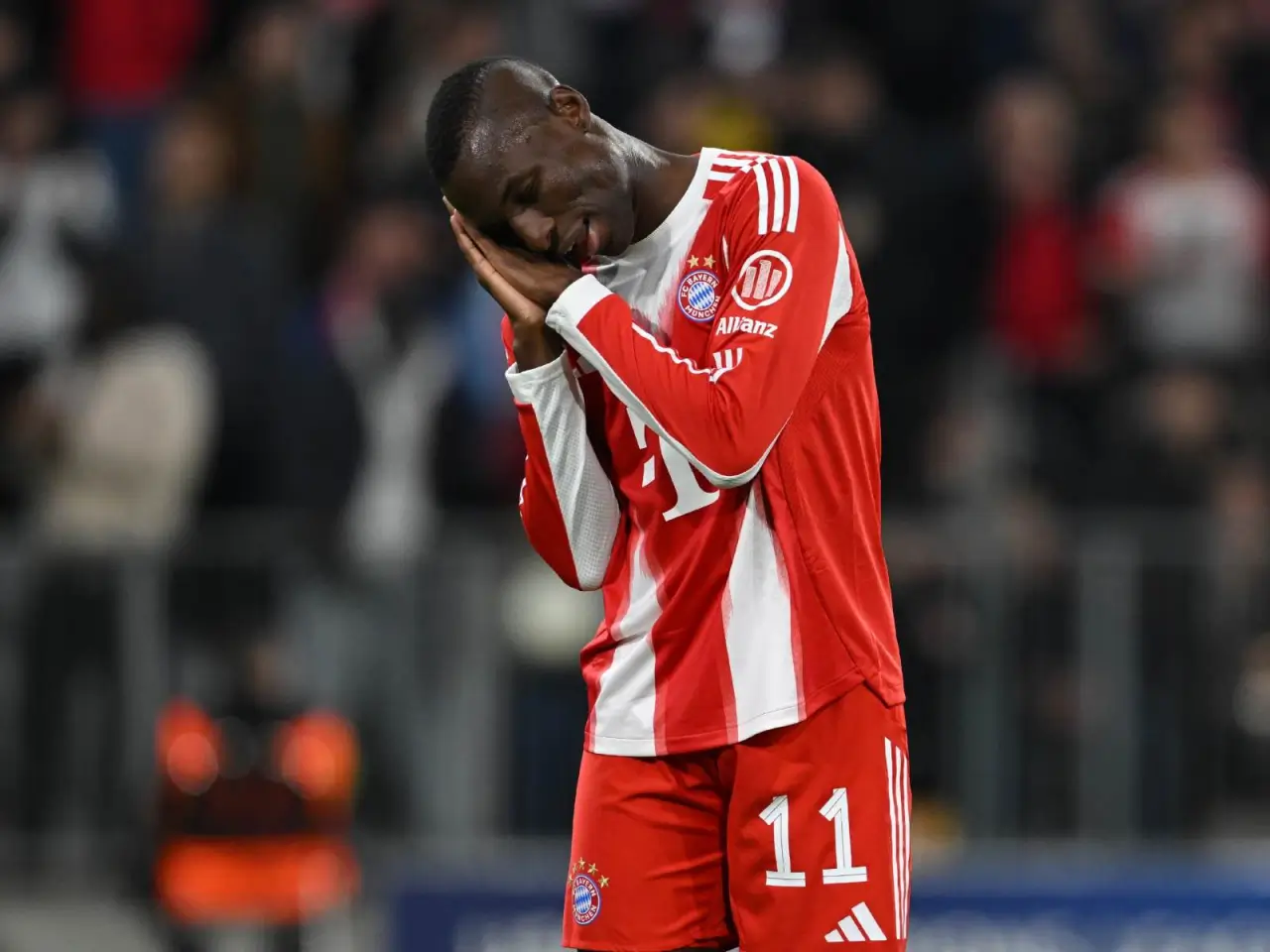 «Бавария» Николас Жексон бўйича қарорини қабул қилди