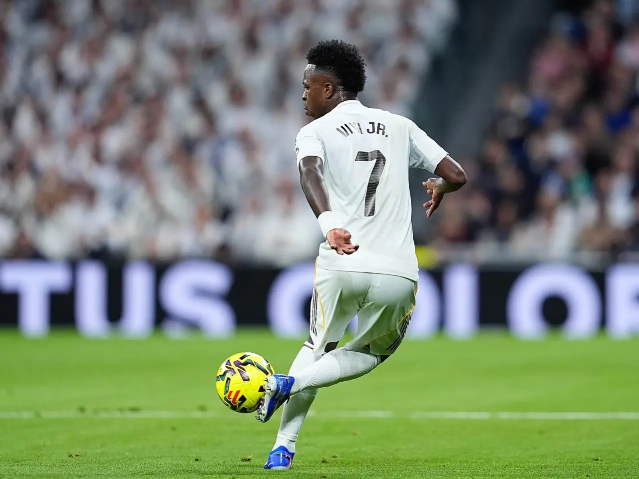 Lukas Paketa Vinisius mojarosi haqida keskin fikr bildirdi