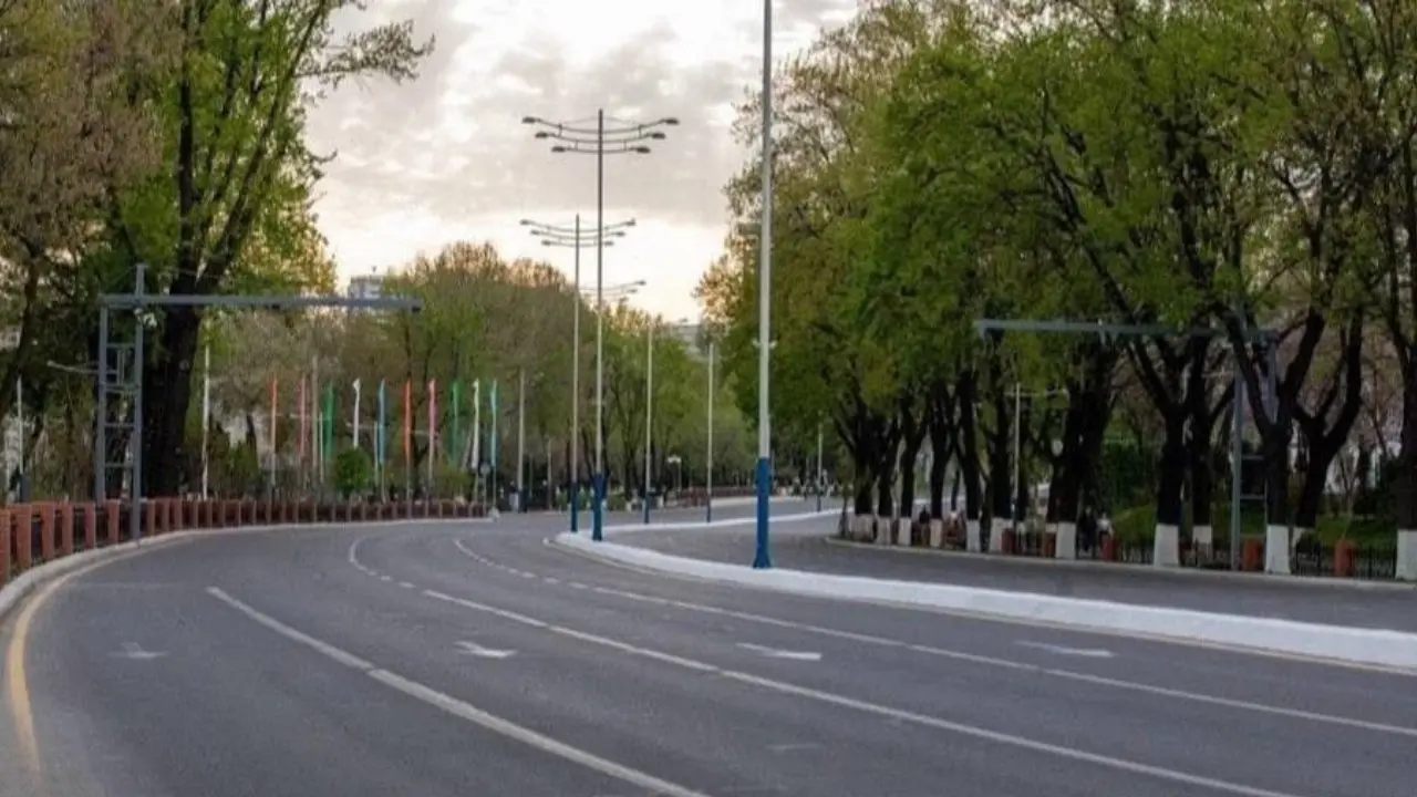 С этого года каждый месяц будут объявляться дни и недели без автомобилей