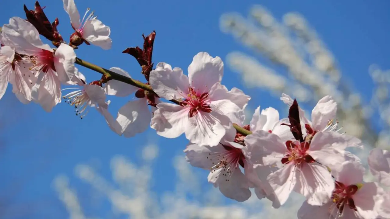 Какой будет погода в первый день апреля