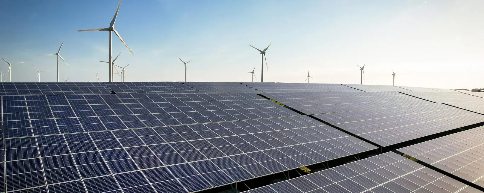 Solar and wind power generation has increased sharply