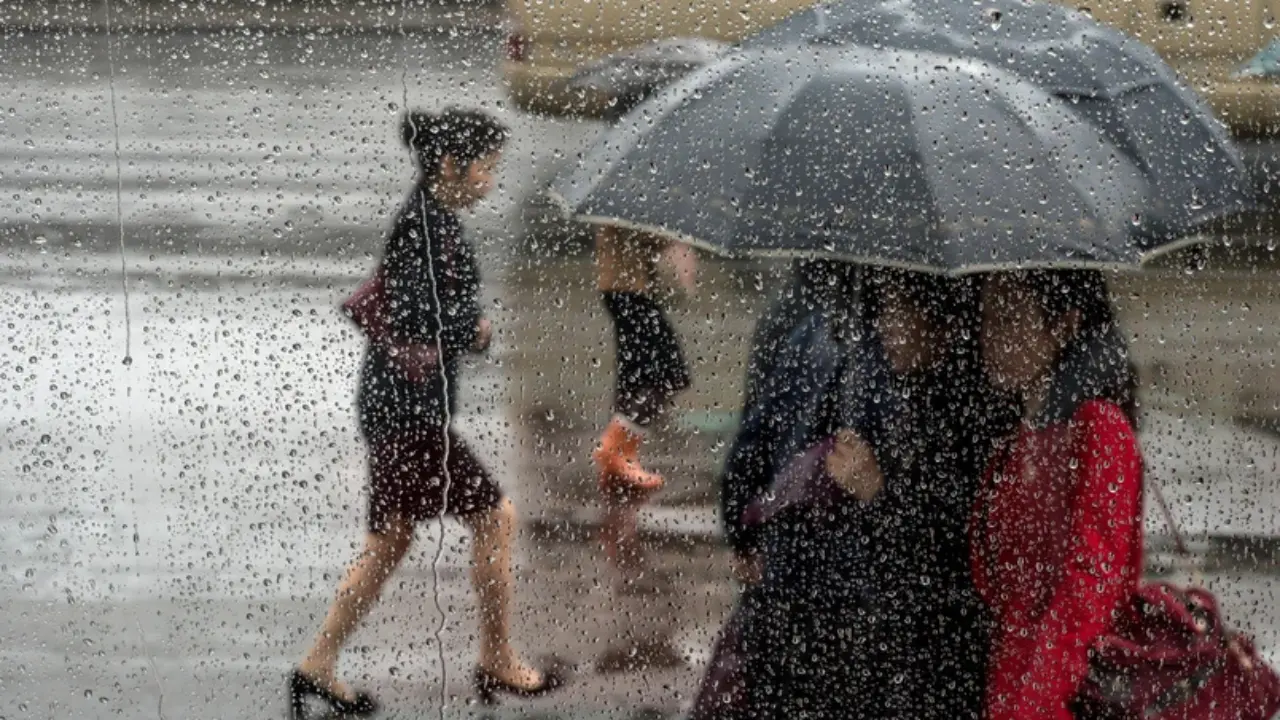 22 мартда Ўзбекистонда ҳаво ёмғирли ва салқин бўлади