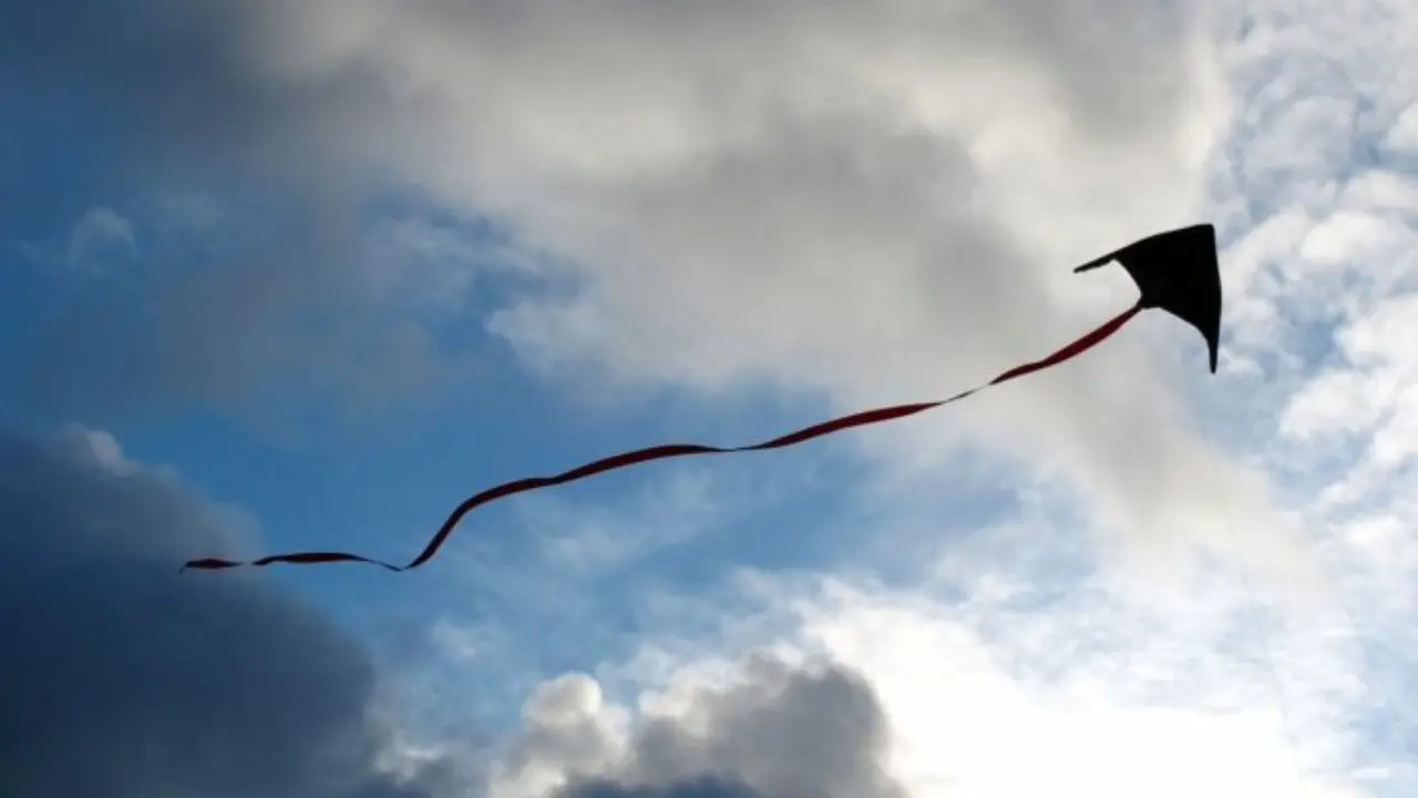 Какая погода ожидается в каждом регионе Узбекистана 29 марта?