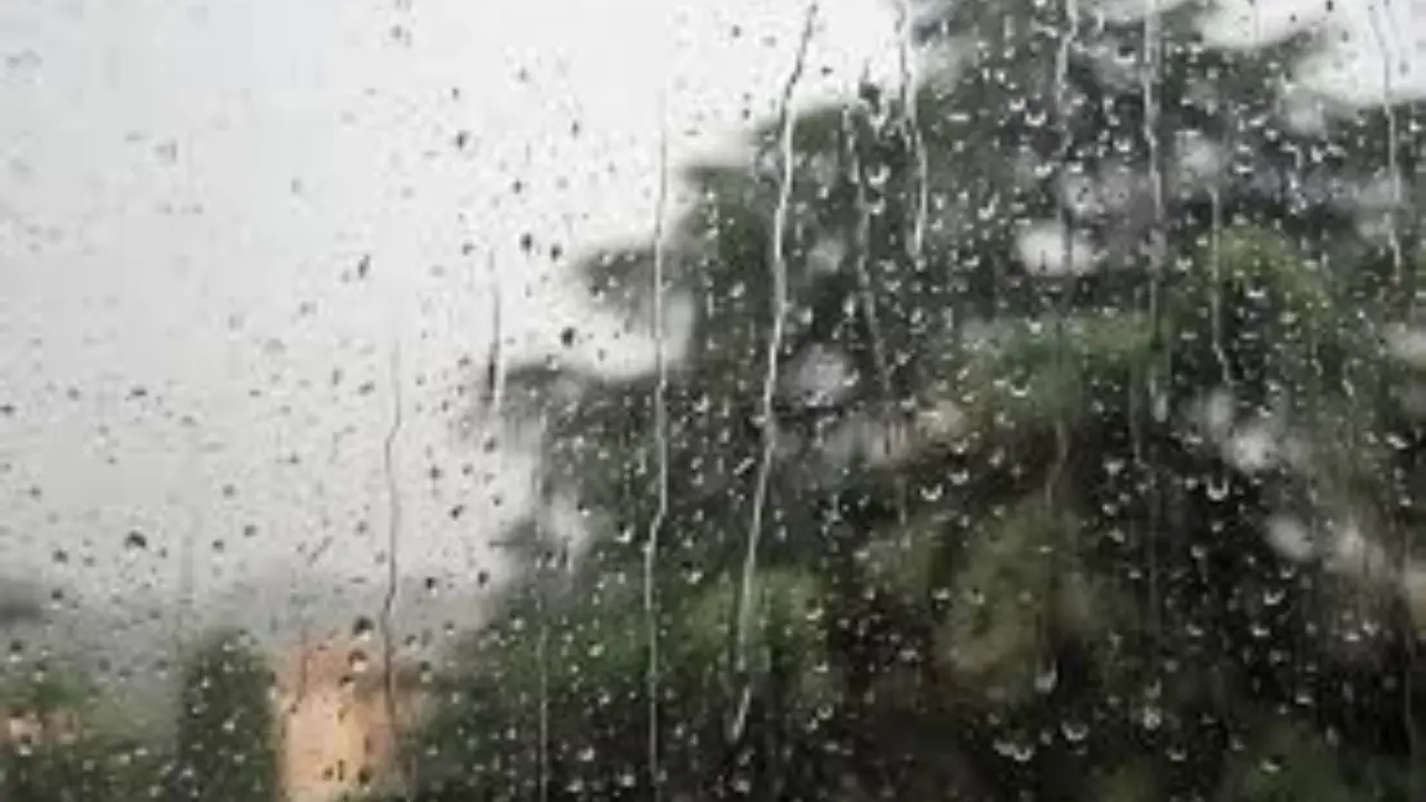 Тошкентда 29 мартда йомғир ва салқин об‑ҳаво кутилмоқда