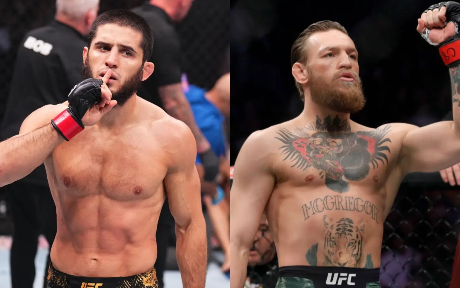 Дана Уайт Махачев ва Макгрегор жанги ҳақидаги хабарларга изоҳ берди